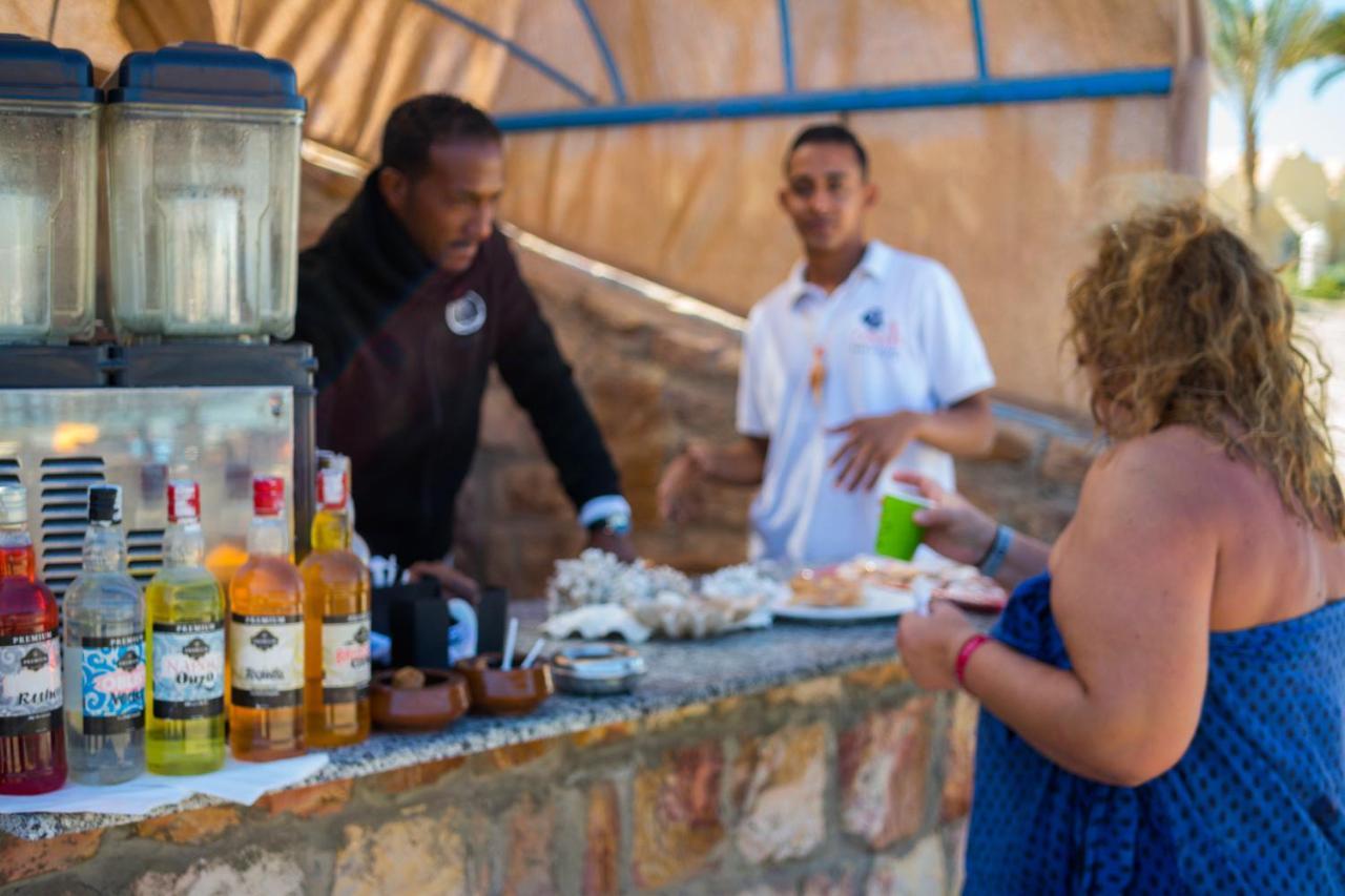Ośrodek wypoczynkowy Onatti - Marsa Alam (adults Only) El Qoseir