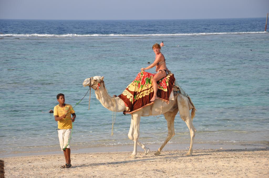 Onatti - Marsa Alam (adults Only) Ośrodek wypoczynkowy